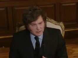 Javier Milei negó que la economía vaya a entrar en recesión