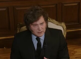 Javier Milei negó que la economía vaya a entrar en recesión