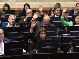 Senado: se aprobó el recorte de subsidios en zonas frías