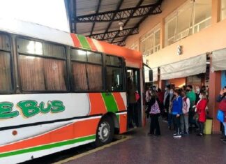 Transporte rural en la provincia: extendieron el plazo para el pago con efectivo colectivo