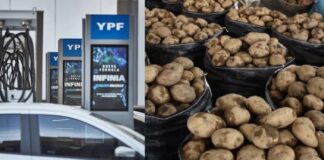 Bajó la nafta súper en Tucumán y también cayó el precio mayorista de la papa nafta
