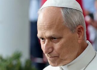 papa