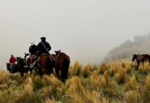 Se extiende la búsqueda del senderista hacia las quebradas del cerro Ñuñorco busqueda