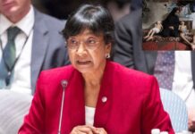 Ganó el Nobel de la Paz la sudafricana que acusó a Israel de Genocidio en Gaza premio de la paz