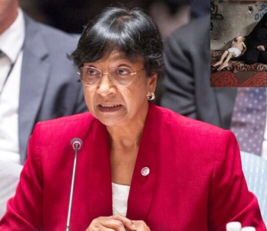 Ganó el Nobel de la Paz la sudafricana que acusó a Israel de Genocidio en Gaza premio de la paz