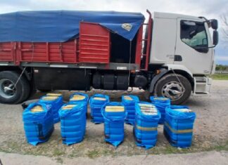 Un camionero dijo que iba vacío, pero el escáner descubrió que mentía camion
