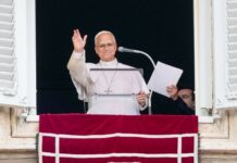 El Papa dio su primer ángelus tras la operación: “Gracias a los que rezaron por mí” papa