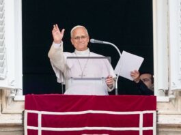 El Papa dio su primer ángelus tras la operación: “Gracias a los que rezaron por mí” papa