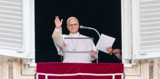 El Papa dio su primer ángelus tras la operación: “Gracias a los que rezaron por mí” papa