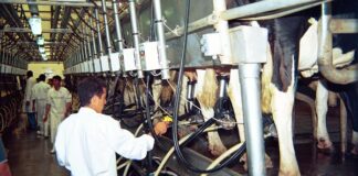 Una multinacional francesa dueña de dos marcas emblemáticas cierra una planta en Santa Fe