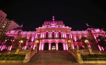 La Casa de Gobierno se iluminó de rosa para concientizar sobre el cáncer de mama